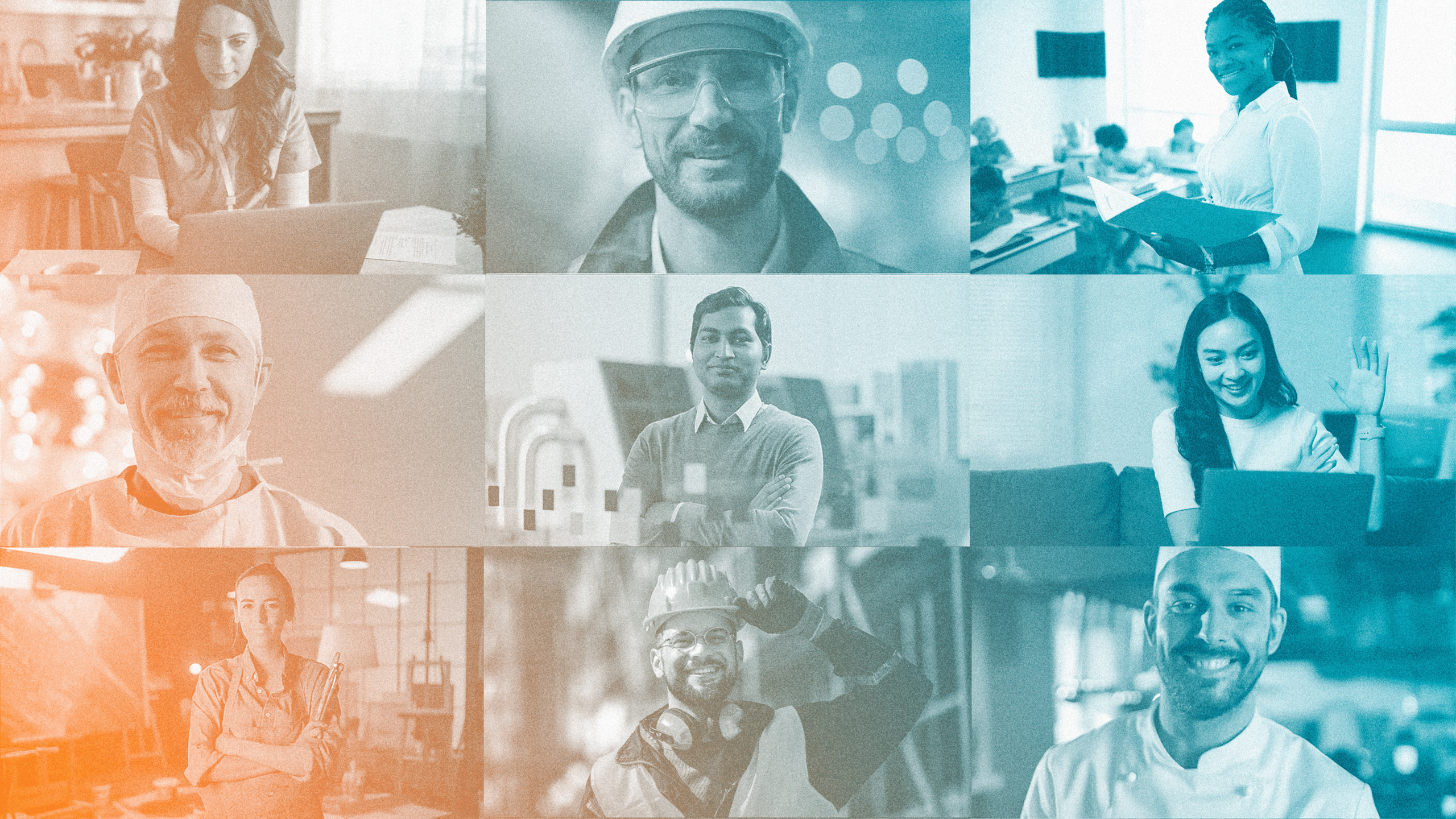 IMG 7586 ridimensionata